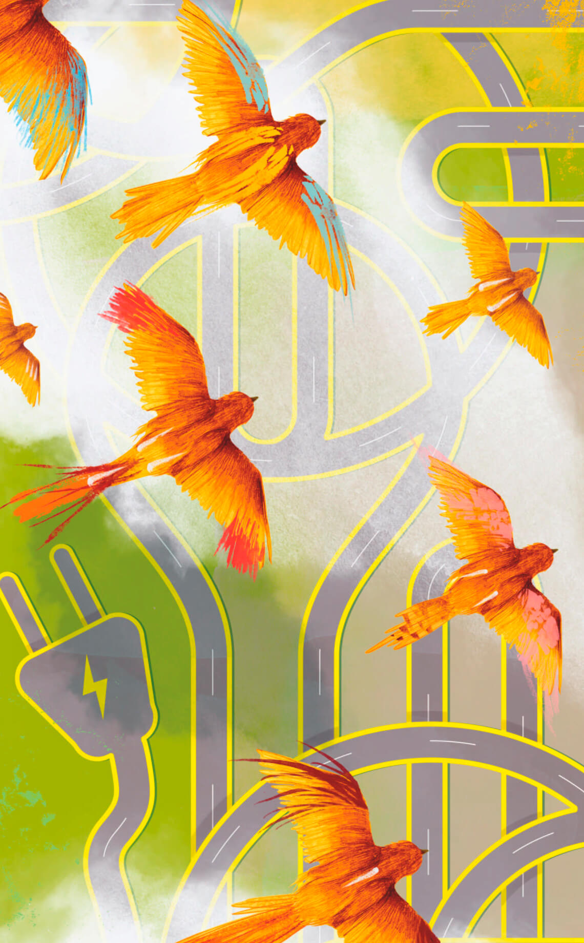 muchos pajaros